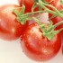 トマトの知識まとめ(歴史、見分け方、栄養、調理法、保存方法 etc. )