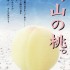 岡山の桃の食べ頃をチェックする方法(資料)