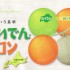 【上質という基準】北海道の「らいでんメロン」がすごい理由(資料)