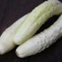 一味違うきゅうり？バングラディッシュ生まれの「白黄うり」
