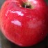 オハイオ生まれのりんご！メルローズ(Melrose Apple)まとめ