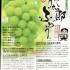 皮ごと食べられる岡山の最強品種。「桃太郎ぶどう」(資料)
