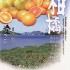 新柑橘7種類まとめ(資料)はるか/せとか/天香/天草/はるみ/はれひめ/紅まどんな