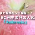 カナダBC州生まれの人気品種！アンブロシアりんごまとめ(Ambrosia apple)