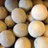 カンタロープ / Cantaloupe