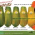 カリビアンレッドパパイヤの切り方 / 見分け方 / Caribbean Red Papaya