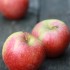 歴史は？原産は？ソナタ / ピノヴァりんごについて調べてみた！Corail  / Pinova / Sonata Apple
