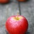 フィエスタ / Fiesta apple