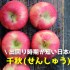 出回り時期が短い秋田のりんご！千秋(せんしゅう)まとめ