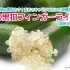 【徹底まとめ】まるでキャビアと話題沸騰！幻の果物フィンガーライム(Finger Lime)