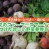 タイベリーも発見！カナダのファーマーズマーケットで見つけた珍しい野菜果物８つ