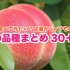 【保存版】定番からレアものまで桃の品種まとめ30+1！清水白桃・おどろき・黄貴妃 etc.