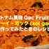 【ベトナム果物】Gac Fruit(ナンバンカラスウリ) のソーイ・ガック(xôi gấc)レシピ