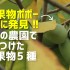 幻の果物ポポー(Paw Paw)とご対面！カナダの農園訪問で見つけた果物5種