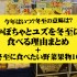 2023年はいつ？冬至の意味とかぼちゃ(南京)とユズを食べる理由まとめ