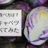 味は？食べ方は？レア野菜「紫芽キャベツ」を食べてみた